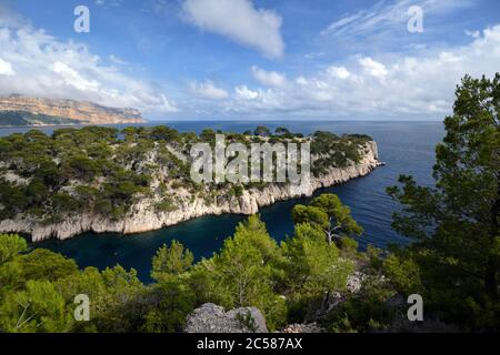 Calanque Port-Pin &, in der Ferne, Cap Canaille Cape oder Headland & Mittelmeer bei Cassis im Calanques Nationalpark Provence Frankreich Stockfoto