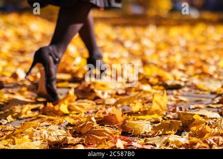 Frau, die bei sonnigem Wetter auf trockenen, gefallenen Blättern läuft, unscharfer Hintergrund, weicher Fokus. Weibliche Beine mit Fersen auf Herbstblättern Stockfoto
