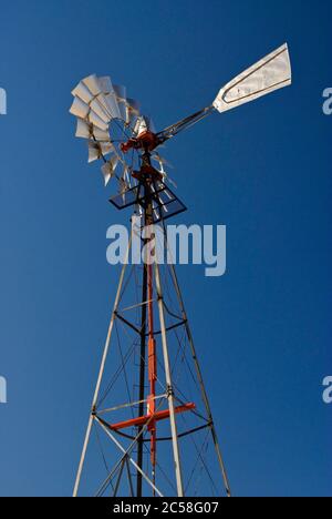 Windmühle in der Chihuahuan Wüste in Big Bend Ranch State Park, Texas, USA Stockfoto