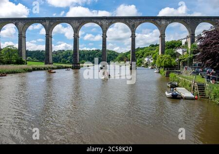 Calstock Viadukt, Fluss Tamar Stockfoto