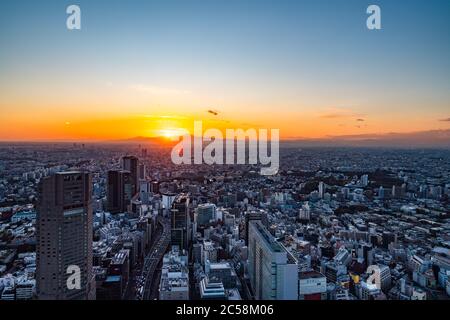 Tokio, Japan - 16. November 2019: Shibuya Scramble Square wurde im November 2019 in Shibuya, Tokio, Japan eröffnet. Auf dem Dach kann man 'Shibuya Sky' Charg nehmen Stockfoto