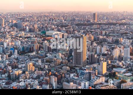 Tokio, Japan - 16. November 2019: Shibuya Scramble Square wurde im November 2019 in Shibuya, Tokio, Japan eröffnet. Auf dem Dach kann man 'Shibuya Sky' Charg nehmen Stockfoto