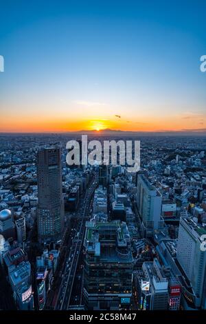 Tokio, Japan - 16. November 2019: Shibuya Scramble Square wurde im November 2019 in Shibuya, Tokio, Japan eröffnet. Auf dem Dach kann man 'Shibuya Sky' Charg nehmen Stockfoto