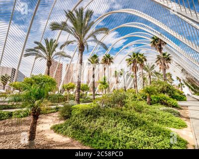 3. März 2020: Valencia, Spanien - L'Umbracle, ein Skulpturengarten und Spaziergang, der einen Eingang zur Stadt der Künste und Wissenschaften in Valencia bildet. Stockfoto