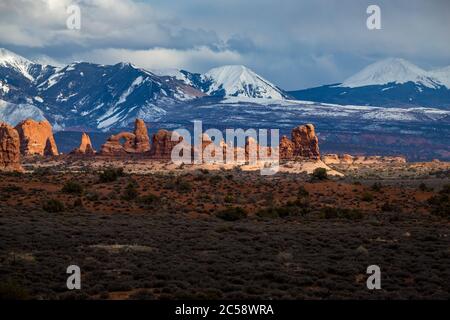 Bunte Ansicht der Parade der Elefanten Sandstein Felsformationen in der hohen Wüste mit schneebedeckten La Sal Berge im Hintergrund, Arches National Stockfoto