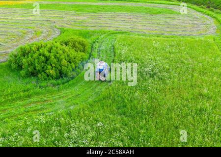 Aerial Draufsicht Farm Szene landwirtschaftlichen Traktor mäht Gras mit einem Mäher in den Feldern Bauernhof, Heumachen Stockfoto