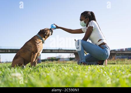 Boxerhund trinkt Wasser aus einer Plastikflasche, die ihm eine Afrikanerin mit einer Mascacrilla im Gesicht und einem Holzstab auf dem Gras gegeben hat Stockfoto