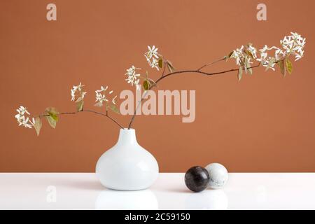 Harmonische Stillleben mit blühender Wacholderbeer-Ast in Vase, schwarze und weiße Marmorkugeln, auf weißer Oberfläche, brauner Hintergrund Stockfoto