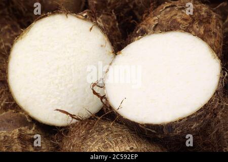 Hintergrund der frischen Tarowurzel (Colocasia) Stockfoto