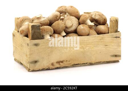Champignon-Pilze in einer Holzkiste auf weißem Grund braun anbraten Stockfoto