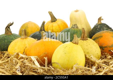 Bunte Kürbisse und Stroh in einer Holzkiste auf weißem Hintergrund Stockfoto
