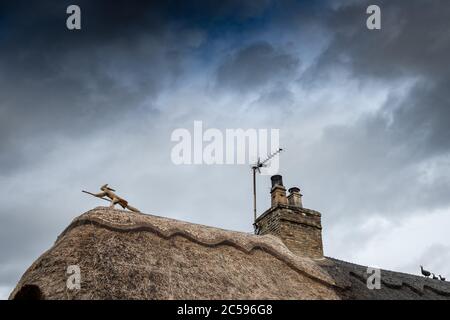 Detailansicht eines neuen Strohdachs in einem englischen Dorf. Auf der Spitze des Daches ist ein charakteristisches Strohhäsen zu sehen, das auf einem Broomstick reitet. Stockfoto