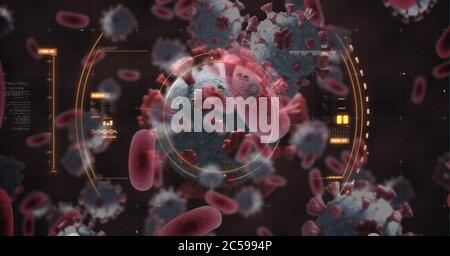 Oszilloskop-Scanning Covid-19 Zellen vor schwarzem Hintergrund Stockfoto