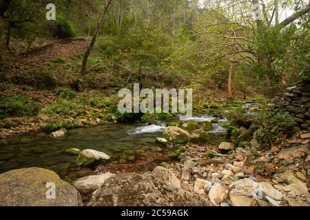 Fluss in Sierra Gorda in queretaro, Mexiko Stockfoto