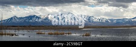 Schöne Aussicht auf schneebedeckten Loafer Mountain mit dramatischen Wolken in den Himmel, Utah Lake State Park, Provo Utah Stockfoto