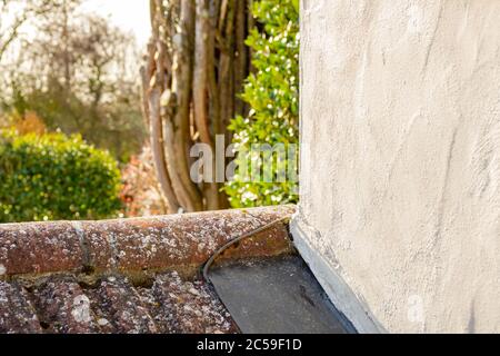 Flache Fokusansicht eines hinteren Gartens mit Sträuchern und einem kürzlich geschnittenen Nadelbaum. Von einem Balkon aus gesehen Bereich eines Cottage. Stockfoto