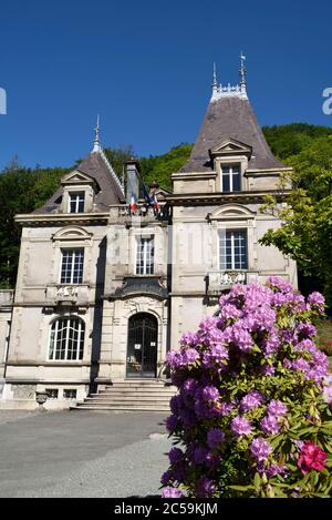 Frankreich, Haute Saone, Plancher les Mines, Place de l Hotel de ville, Rathaus, Rhododendron, Blüte Stockfoto