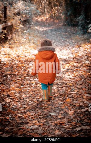 Ein kleiner Junge in Winterkleidung, der im Herbst oder Herbst auf braunen Blättern in einem Wald läuft Stockfoto