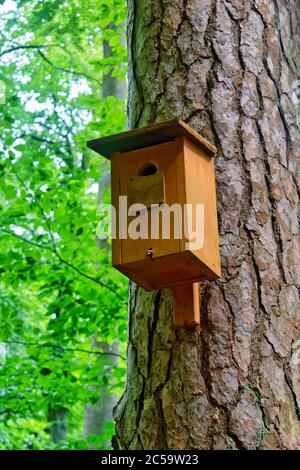 Hölzerne Vogelhaus (Nistkasten) auf einem Baum Stockfoto
