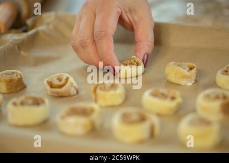 lady's Hand legt Zimt-Teigbrötchen auf Backblech selektiven Fokus Stockfoto