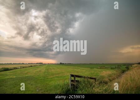 Blick auf ein Gewitter über grünen Wiesen in Holland bei Sonnenuntergang Stockfoto
