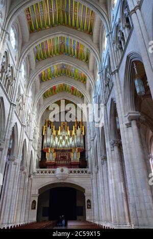 MADRID - MAR 3, 2014: Schönes neugotisches Interieur mit Orgel von Santa Maria la Real de La Almudena - berühmte Kathedrale in Madrid, Spanien Es war conse Stockfoto