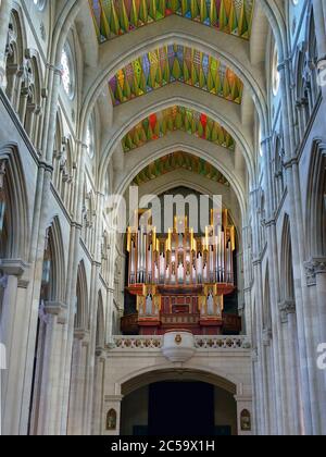 MADRID - MAR 3, 2014: Schönes neugotisches Interieur mit Orgel von Santa Maria la Real de La Almudena - berühmte Kathedrale in Madrid, Spanien Es war conse Stockfoto