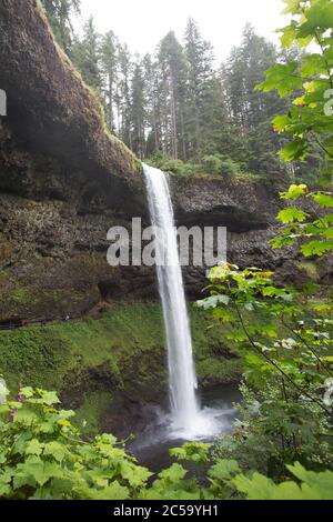 South Falls im Silver Falls State Park in Oregon, USA. Stockfoto