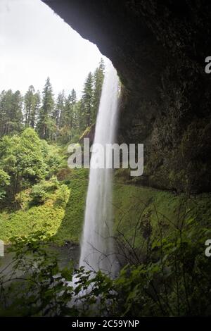 South Falls im Silver Falls State Park in Oregon, USA. Stockfoto