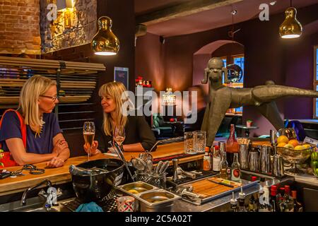 Pudelbar im Hotel Rathof, Kassel, Deutschland. Der Pudel markiert sein Revier. Die Bar im Rathof liegt zentral zwischen Lounge und Restaurant und beeindruckt mit den Bögen der Wand und der imposanten Deckenhöhe Stockfoto