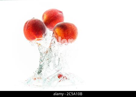 Nektarine Früchte, die ins Wasser spritzen und mit Luftblasen auf weißem Hintergrund isoliert sinken. Speicherplatz kopieren Stockfoto