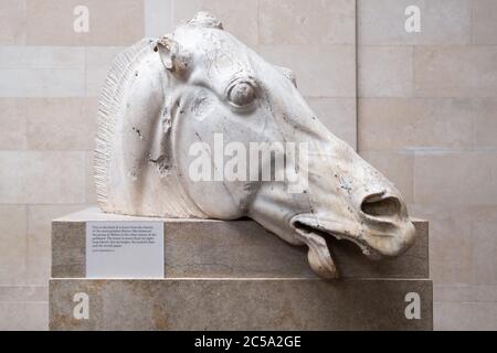 Das Pferd von Selene, Teil der Elgin Marbles, ausgestellt im British Museum Stockfoto