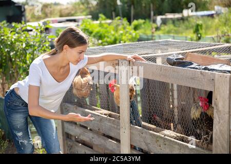 Lächelnd junge weibliche professionelle Farmer in der Nähe Hühnerstall im Freien auf der Farm Stockfoto