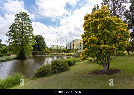 Großer Teich am Wakehurst Platz in Sussex Stockfoto