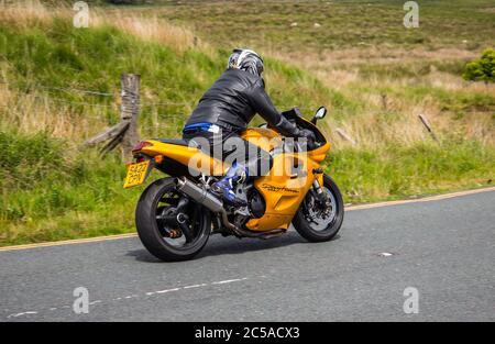 1998 Yellow Triumph Daytona 955i Stockfoto