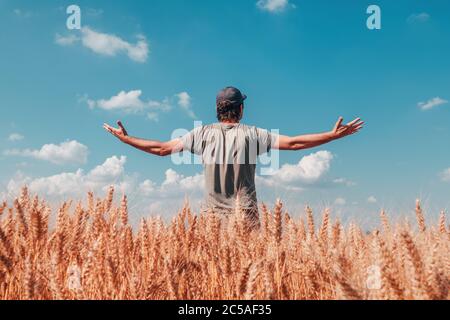 Erfolgreicher Weizenbauer steht in reifen Getreidefeldern am sonnigen Sommertag, kurz vor der Ernte Stockfoto