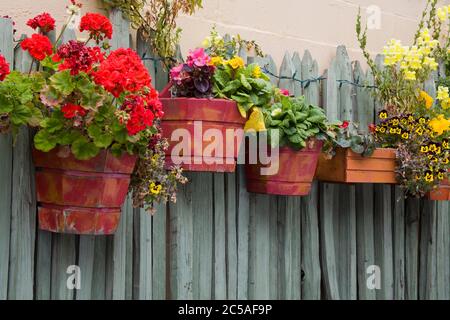 Blumentöpfe in Carmel-by-the-Sea, Monterey County, Kalifornien, USA Stockfoto