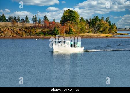 Hummer Fischerboot segelt in Hafen in ländlichen Prince Edward Island, Kanada. Stockfoto