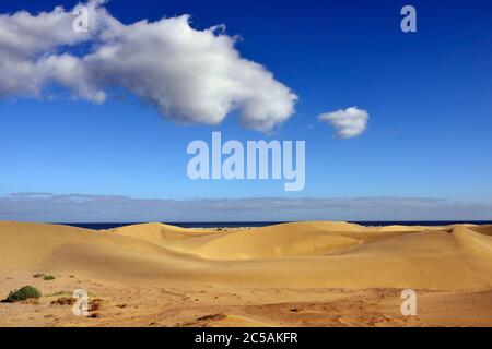 Berühmter Naturpark Maspalomas Dünen auf Gran Canaria am Abend, Kanarische Inseln, Spanien Stockfoto