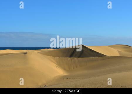 Berühmter Naturpark Maspalomas Dünen auf Gran Canaria am Abend, Kanarische Inseln, Spanien Stockfoto