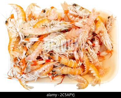 Nahaufnahme von frisch gekühlten Langoustinen auf zerkleinertem Eis. Isoliert auf weißem Hintergrund Stockfoto