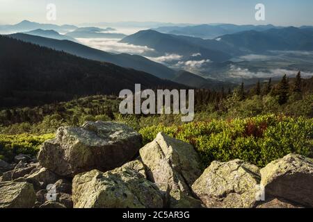 Atemberaubende Aussicht auf die Landschaft des Nebels, der durch das Tal zwischen den Bergen fließt, mit schweren Felsen im Vordergrund. Mala Fatra Stockfoto