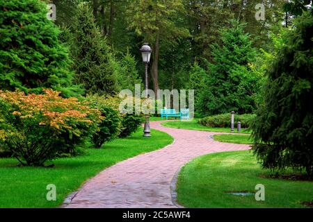 Fußweg in Perspektive ein Park mit Kurven in einem Park mit grünen Wiesen und Pinien, unter denen Eisen Straßenlaternen an einem Sommertag nobo installiert sind Stockfoto