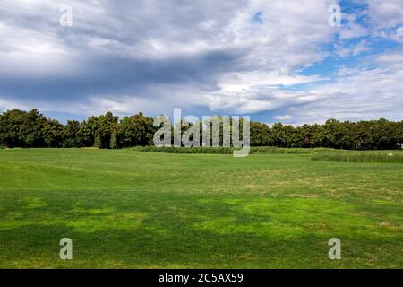 Hügelige Lichtung mit einem grünen Rasen, der an einem sommerlichen bewölkten Tag im Hintergrund von Schilf und Laubbäumen von Sonnenlicht beleuchtet wird. Stockfoto