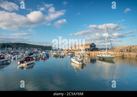 Abendlicht auf Lyme Regis Hafen Stockfoto