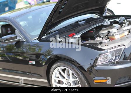 Classic Car Show, Mustangs, Chevrolet und Buicks. Stockfoto