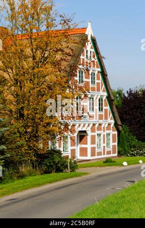 Steinkirchen in Altes Land: Bauernhof, Landkreis Stade, Niedersachsen, Deutschland Stockfoto