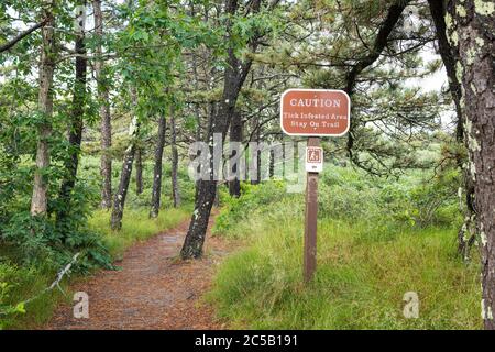 Cape Cod Trail, MA, USA, 06/30/2020. Das Tick-Problem ist eine Serie Problem im Nordosten von Amerika. Viele Wälder wurden befallen b Stockfoto