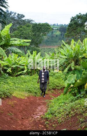 Gisuma Waschstation und Bauern des Kollektivs Stockfoto