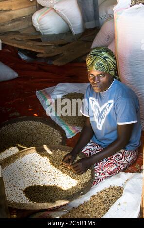 Kokabanya Washing Station und Geldprämien mit Rob Fiedler von Africana Traders Stockfoto